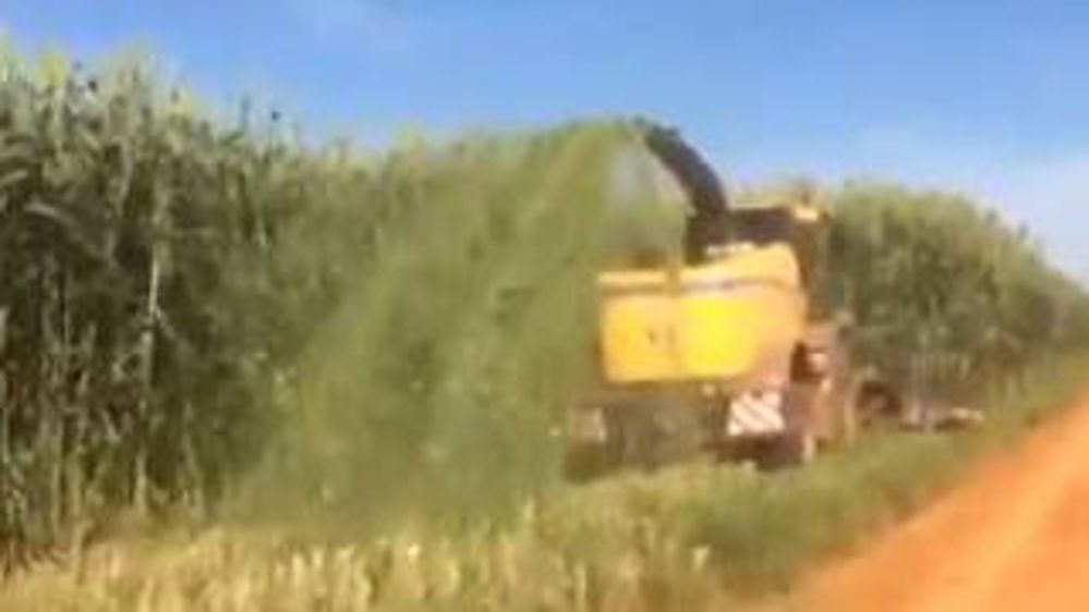 Ça, c’est du couvert