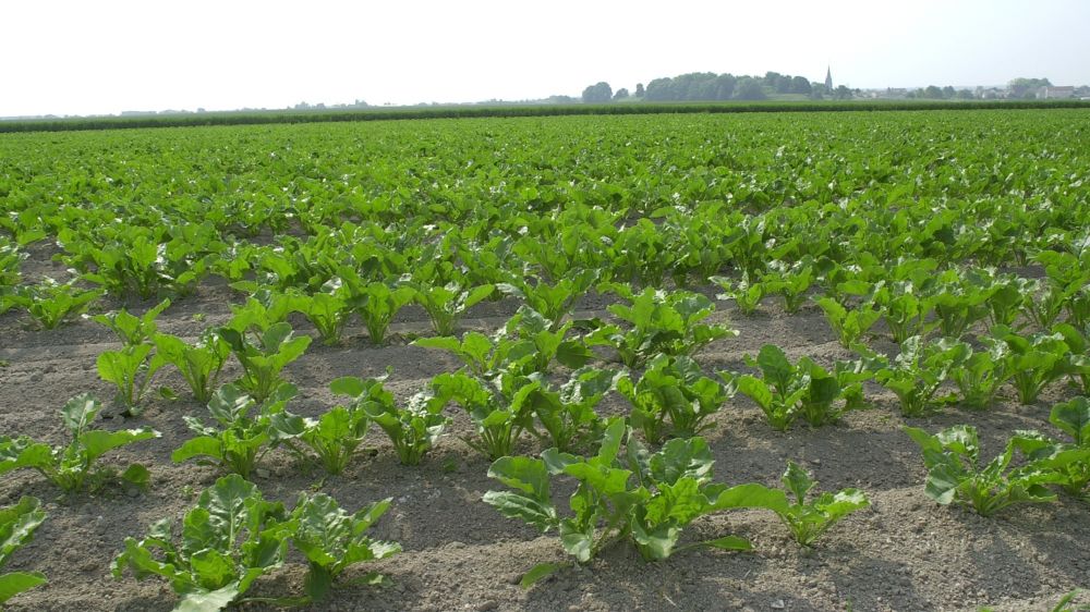 Les élus veulent rencontrer le Premier ministre