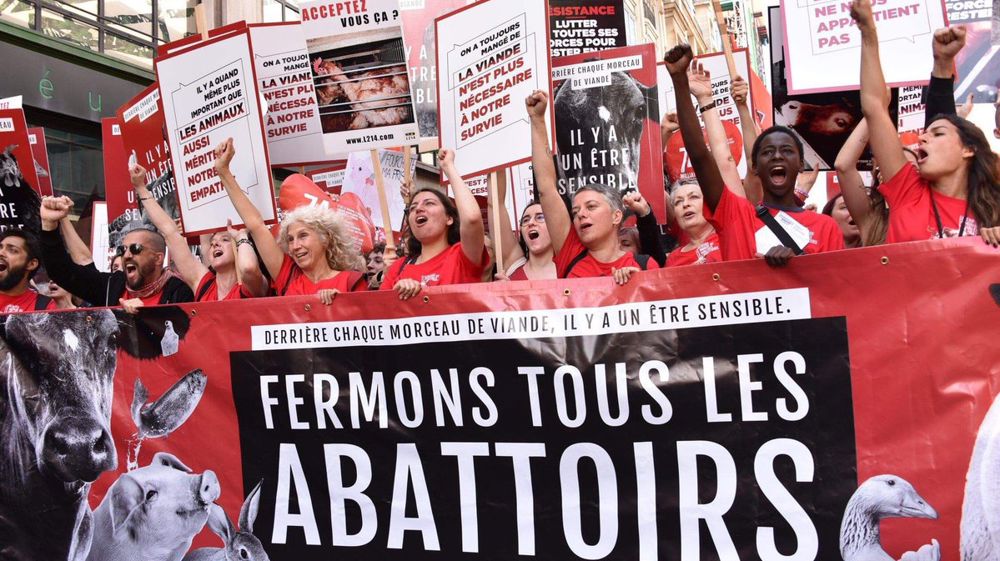 L214 défile pour la fermeture des abattoirs
