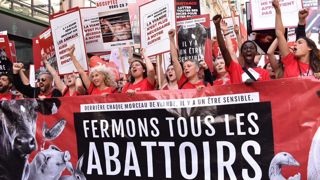 L214 défile pour la fermeture des abattoirs L214 défile pour la fermeture des abattoirs