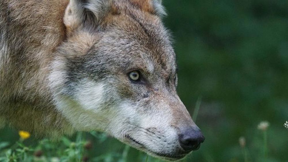 Relever le quota de prélèvement