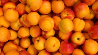 Dénoncé sur Twitter, un supermarché abandonne les abricots espagnols Dénoncé sur Twitter, un supermarché abandonne les abricots espagnols