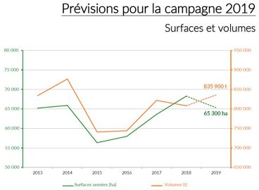 Source : Cénaldi