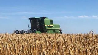 C’est parti pour la moisson C’est parti pour la moisson
