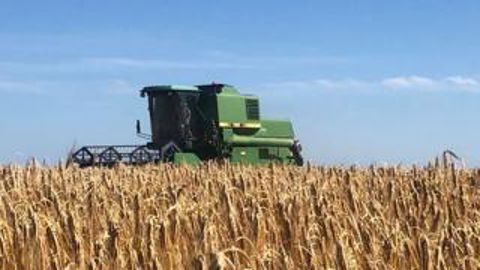 C’est parti pour la moisson C’est parti pour la moisson