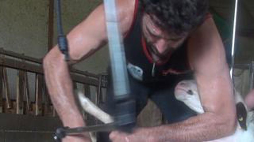 Les champions français à l’entraînement