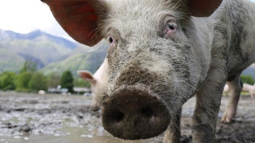 Un impact « significatif » sur les marchés mondiaux