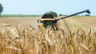 80 % des orges récoltées au 8 juillet 80 % des orges récoltées au 8 juillet