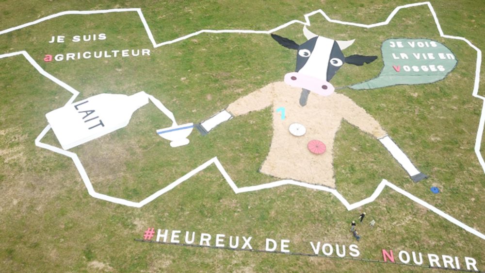 Une vache au Tour de France