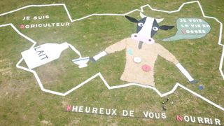 Une vache au Tour de France Une vache au Tour de France
