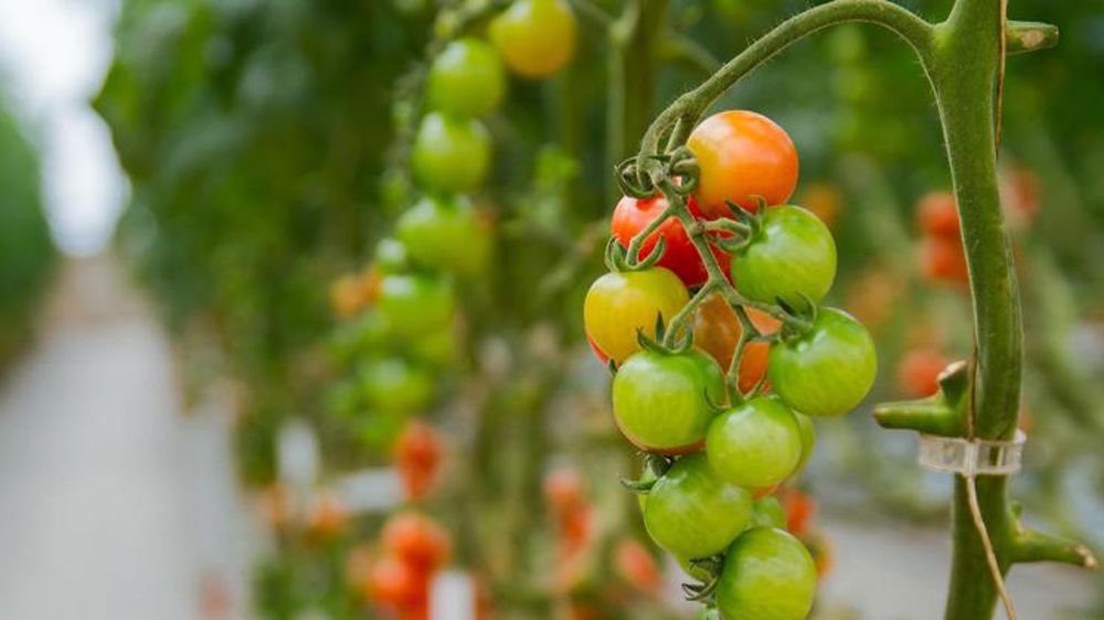 La décision du Cnab ne fait pas l’unanimité