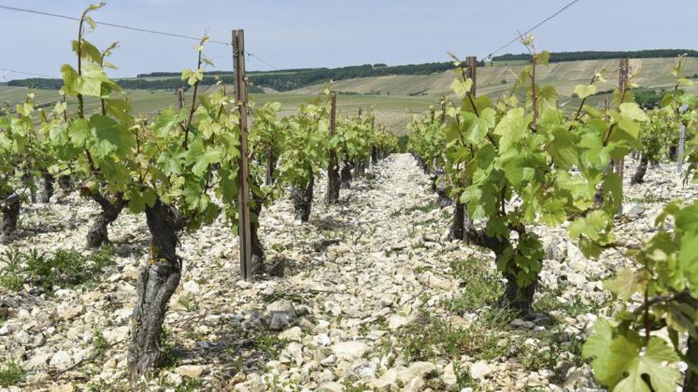 Une récolte potentiellement plus faible