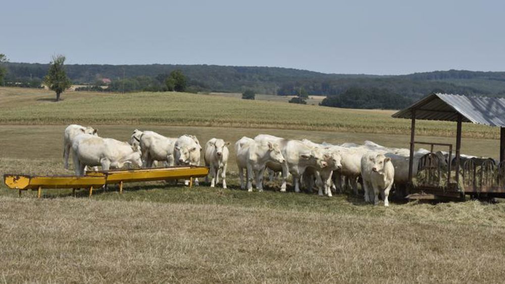 Le gouvernement annonce des mesures pour aider les agriculteurs