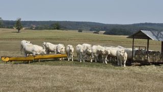 Le gouvernement annonce des mesures pour aider les agriculteurs Le gouvernement annonce des mesures pour aider les agriculteurs