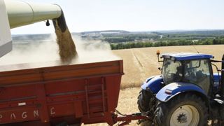 Le blé français pas encore assez compétitif Le blé français pas encore assez compétitif