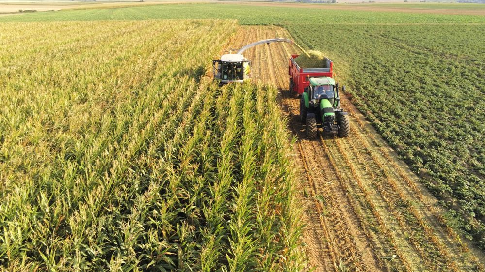 Les ensileuses dans les starting-blocks