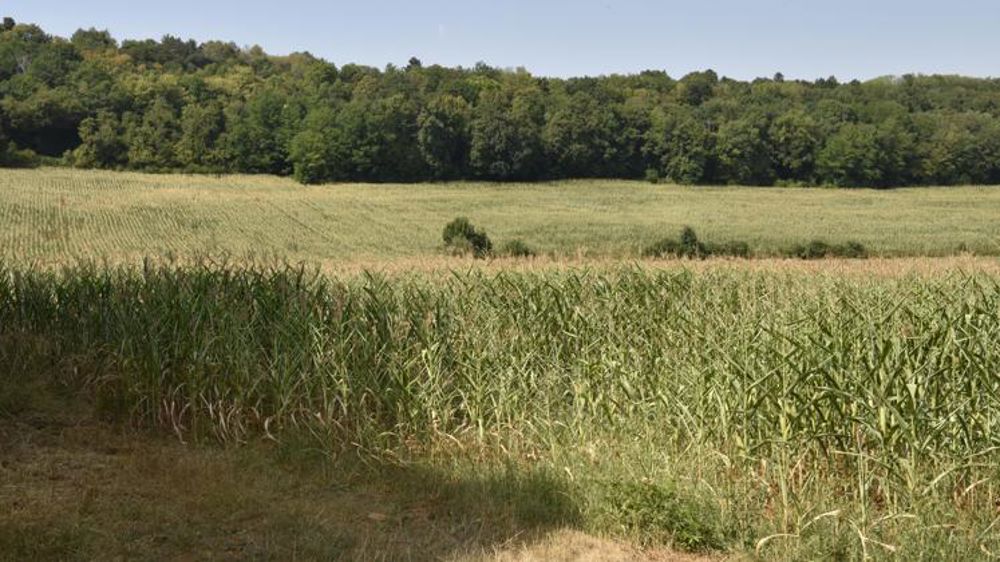 Les assureurs veulent afficher des tarifs plus transparents