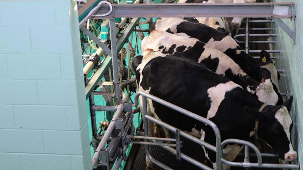 Des primes Ceta pour les agriculteurs canadiens