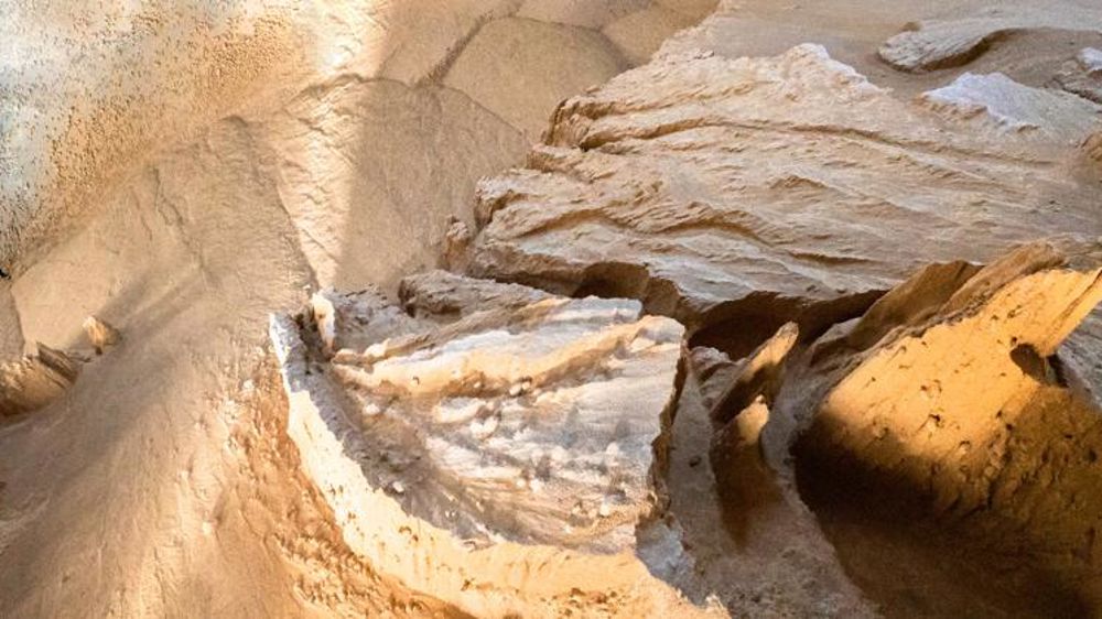 Le WWF fustige les importations de soja