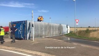 Plus de 180 porcs tués dans un accident de la route Plus de 180 porcs tués dans un accident de la route