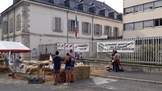 Les éleveurs campent devant la préfecture à Gap Les éleveurs campent devant la préfecture à Gap