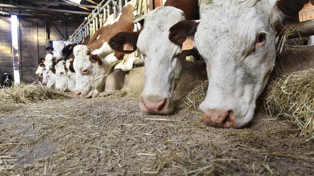 « L’ambition de produire en France est fragilisée »