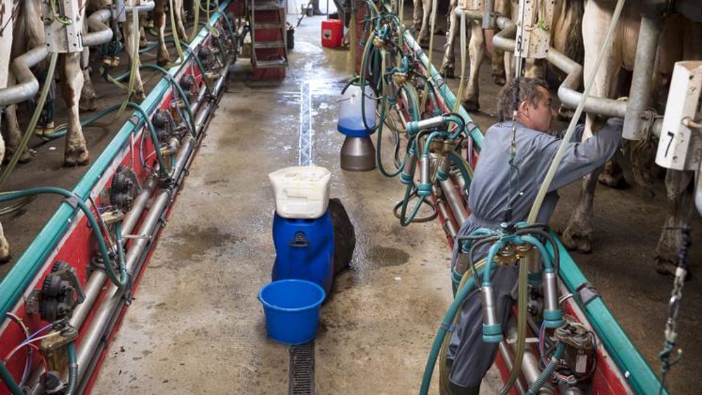 Une rentrée qui déçoit chez Sodiaal