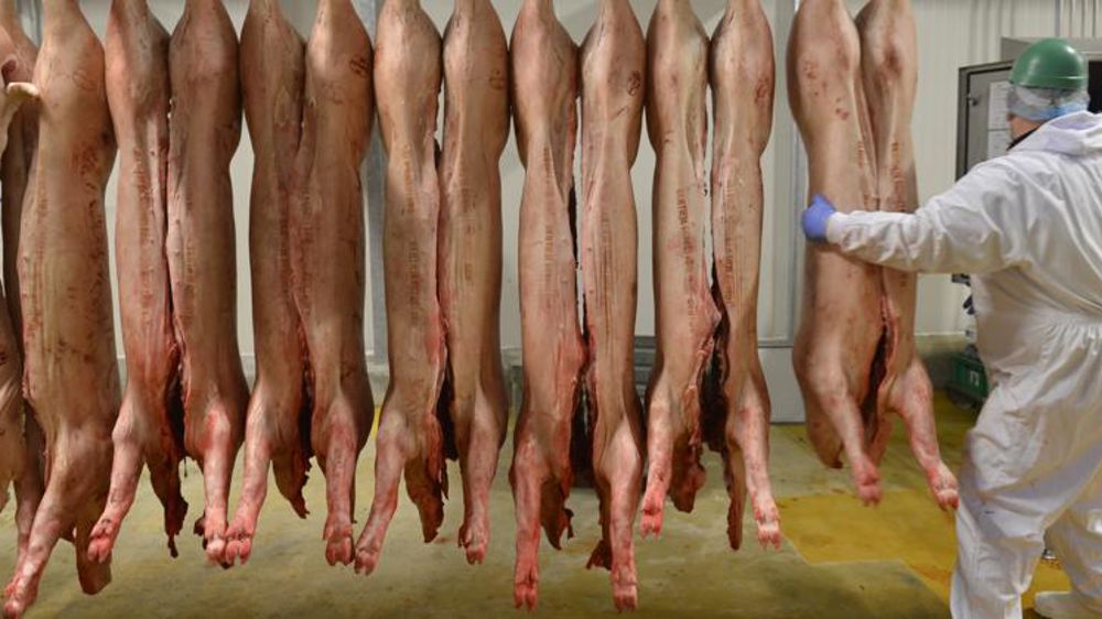 Les abattages gardent un rythme soutenu