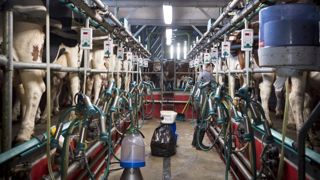 Le prix du lait se stabilise à 335 €/1 000 litres Le prix du lait se stabilise à 335 €/1 000 litres