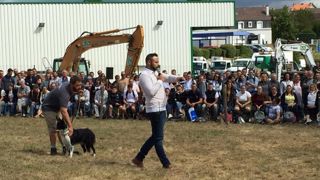 Cinq chiens de conduite vendus de 1 250 à 1 700 € Cinq chiens de conduite vendus de 1 250 à 1 700 €