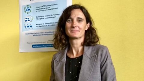 « Les attentes sociétales ne sont pas compatibles entre elles » « Les attentes sociétales ne sont pas compatibles entre elles »