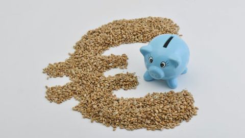 40 €/ha de coût de production en plus 40 €/ha de coût de production en plus