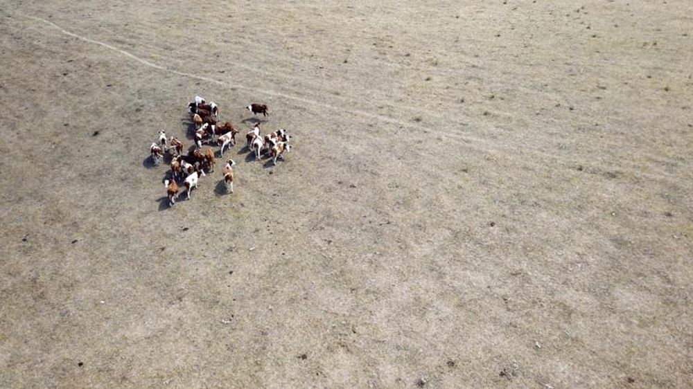 6 à 7°C en plus à l’horizon de 2100