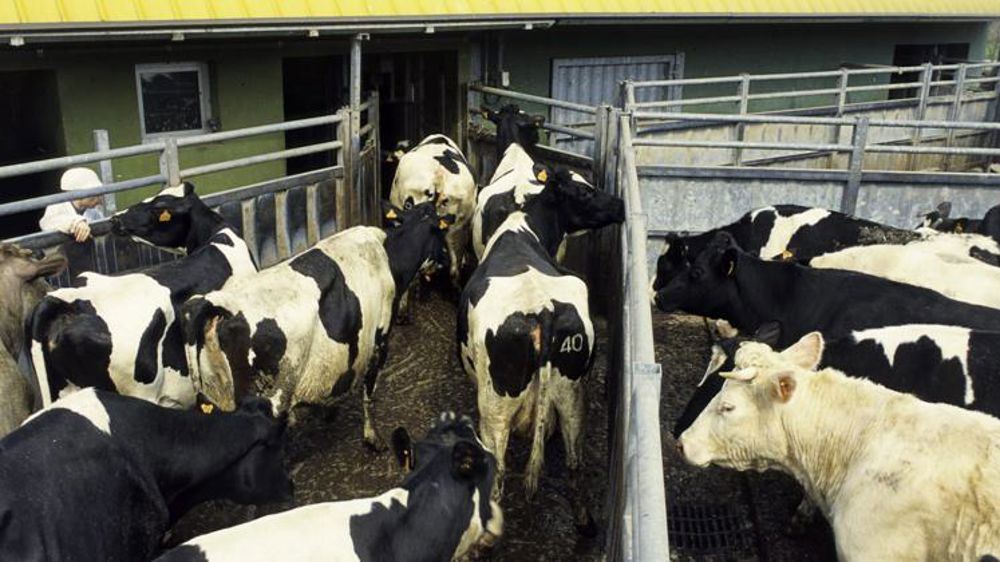 La relance du gouvernement sur la vidéosurveillance