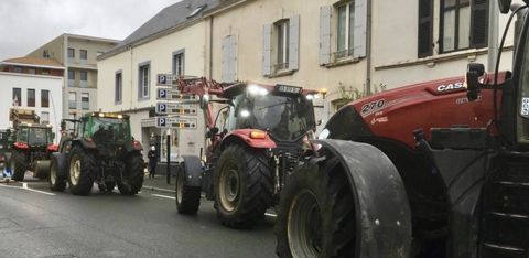 La loi EGAlim n’a pas donné les résultats escomptés, selon la FNSEA, en particulier dans le secteur de la viande bovine. © GFA