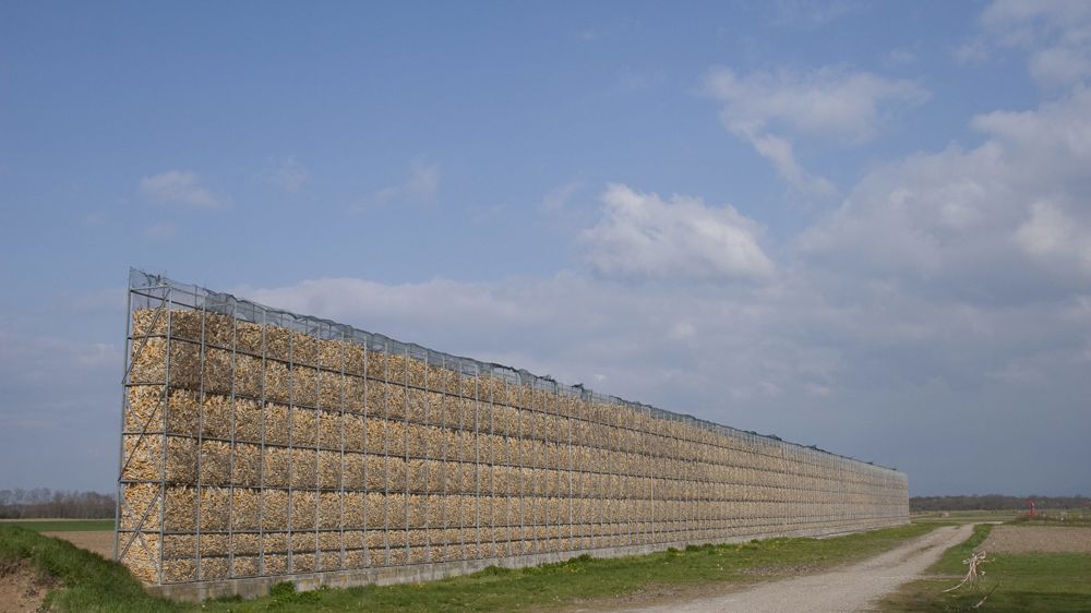 Les bus strasbourgeois rouleront bientôt à la rafle de maïs