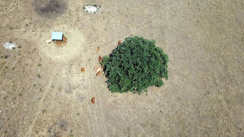 Les effets s’accentuent