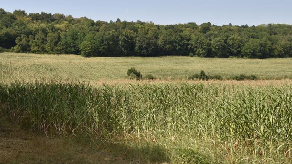 Groupama veut une réforme forte