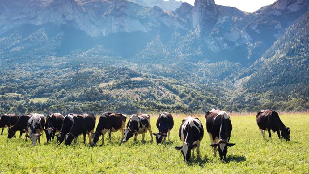 « Un constat alarmant »
