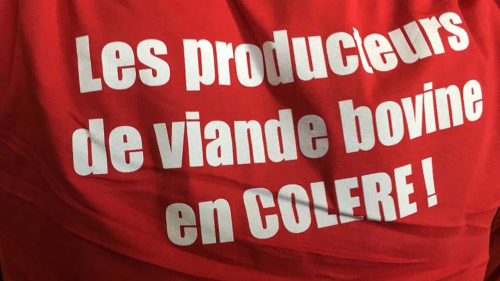 Ça ne passe toujours pas pour la filière bovine !
