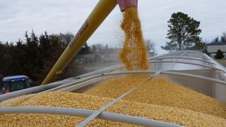 Des prix bien orientés pour toutes les céréales Des prix bien orientés pour toutes les céréales