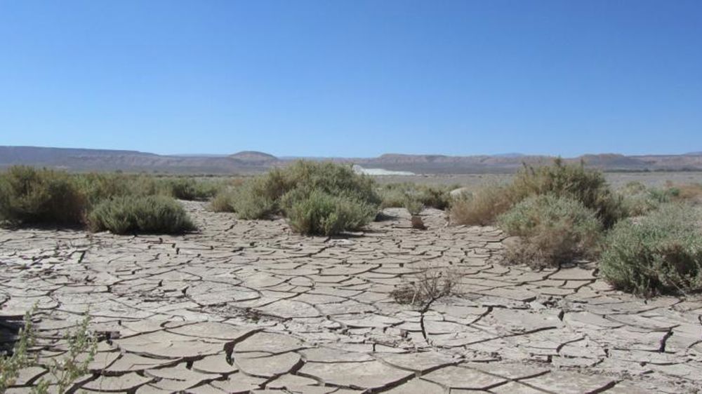 Un quart des terres plus sèches en cas de hausse de 2°C