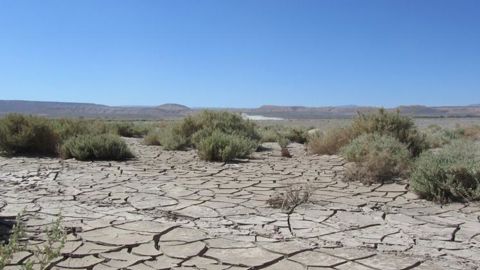 Un quart des terres plus sèches en cas de hausse de 2°C Un quart des terres plus sèches en cas de hausse de 2°C