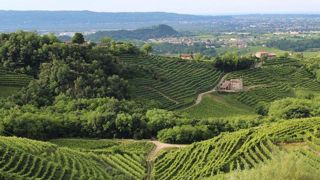 Exportations records de vin à six milliards d’euros Exportations records de vin à six milliards d’euros
