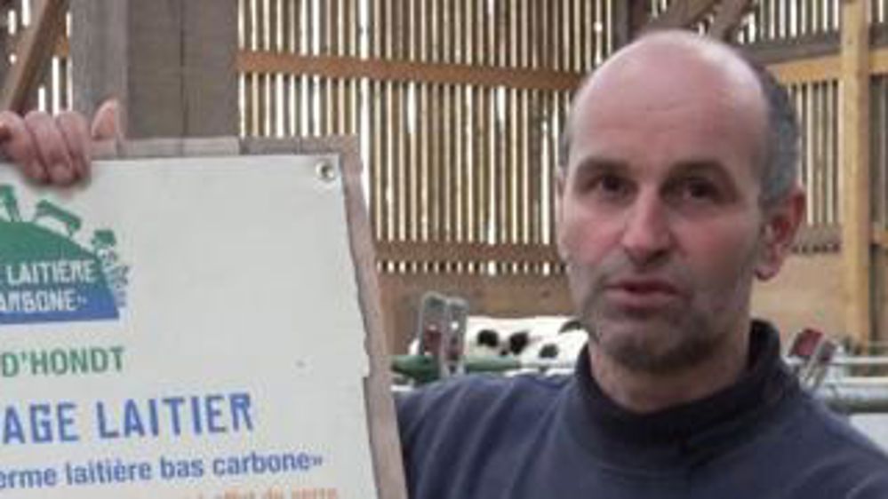 Le colza pour diminuer l’empreinte carbone d’un élevage