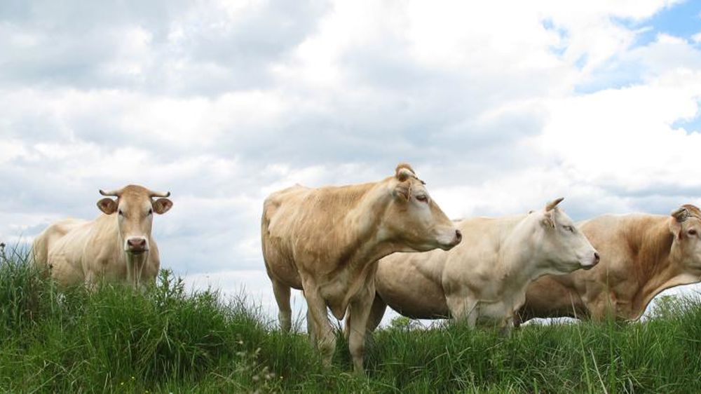 Reprise des débats et des mobilisations