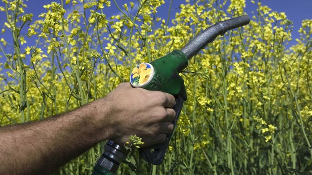 Les eurodéputés votent pour 7 % de G1
