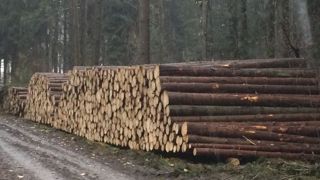 Regroupement dans une coopérative de 3 500 propriétaires forestiers Regroupement dans une coopérative de 3 500 propriétaires forestiers