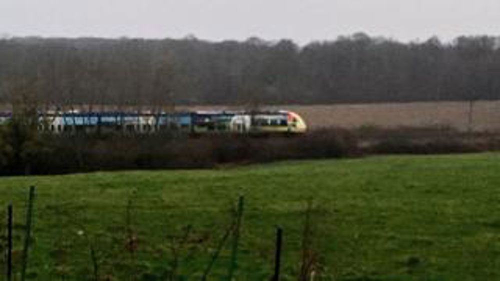 Les vaches prennent le pouvoir et un train coincé dans un champ sur Twitter