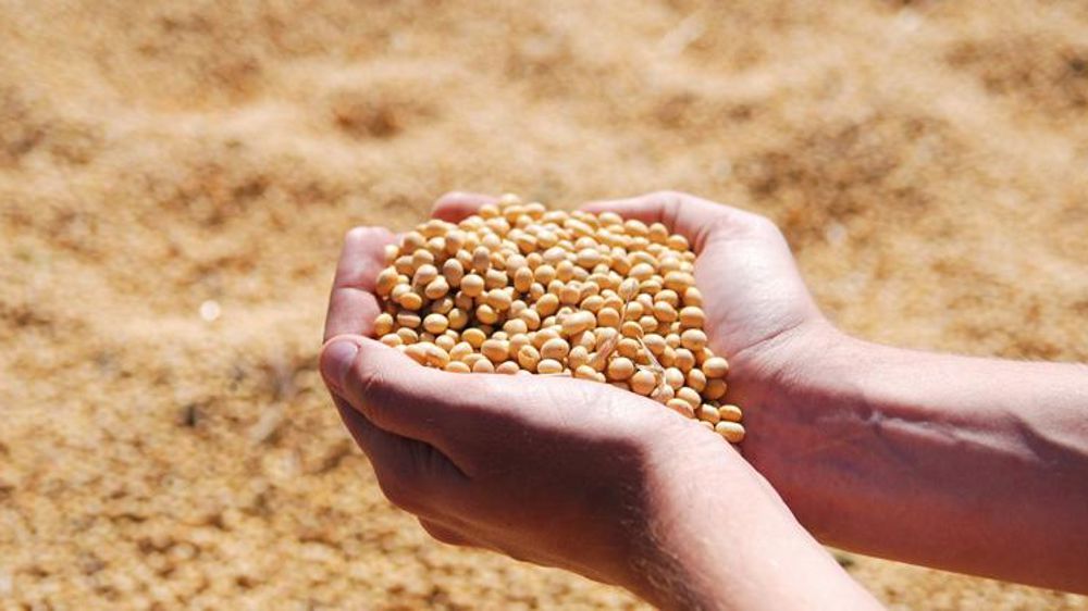 La blockchain à l’essai